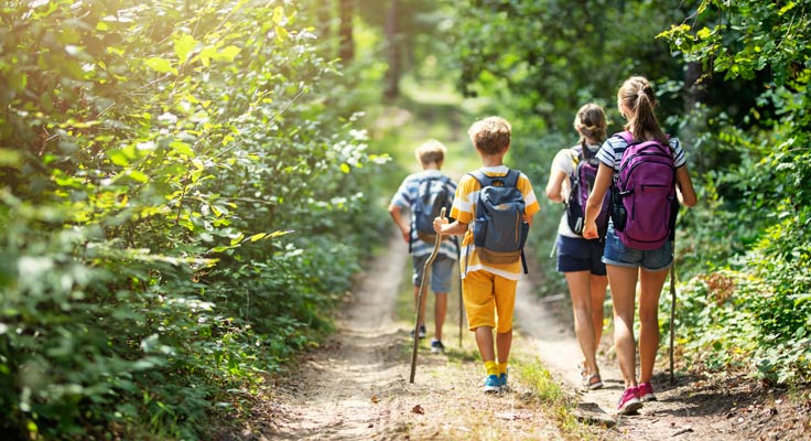 Randonnée en famille dans la forêt