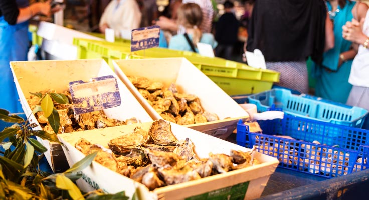 Huîtres étal de marché