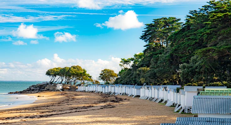 Noirmoutier forêt et plage