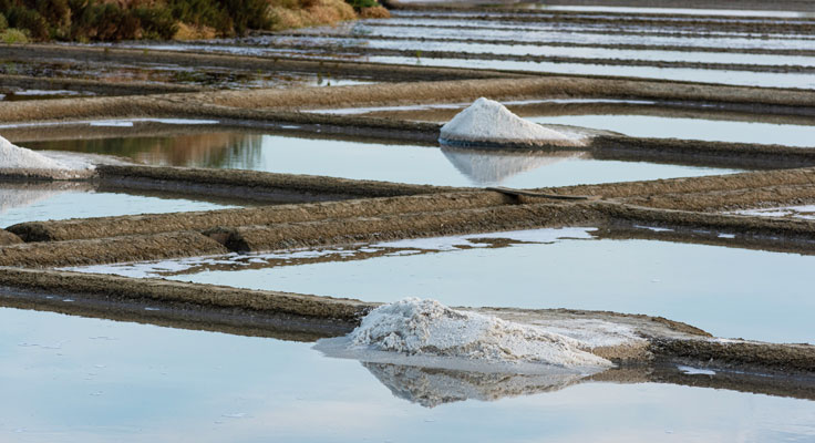 Marais salants