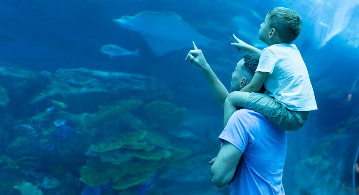 Aquarium en Vendée