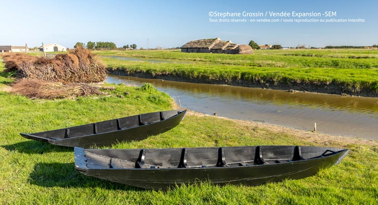 Barques et marais le Daviaud
