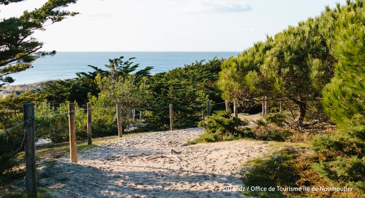 Bois des Eloux Noirmoutier