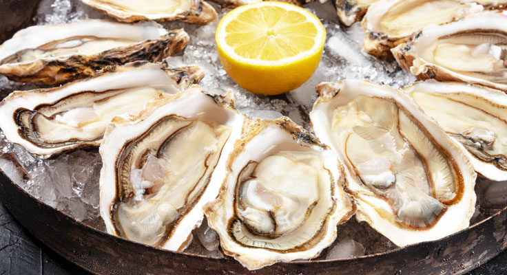 Huîtres de Vendée Atlantique