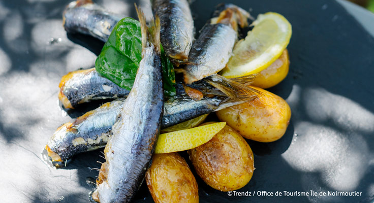Sardines